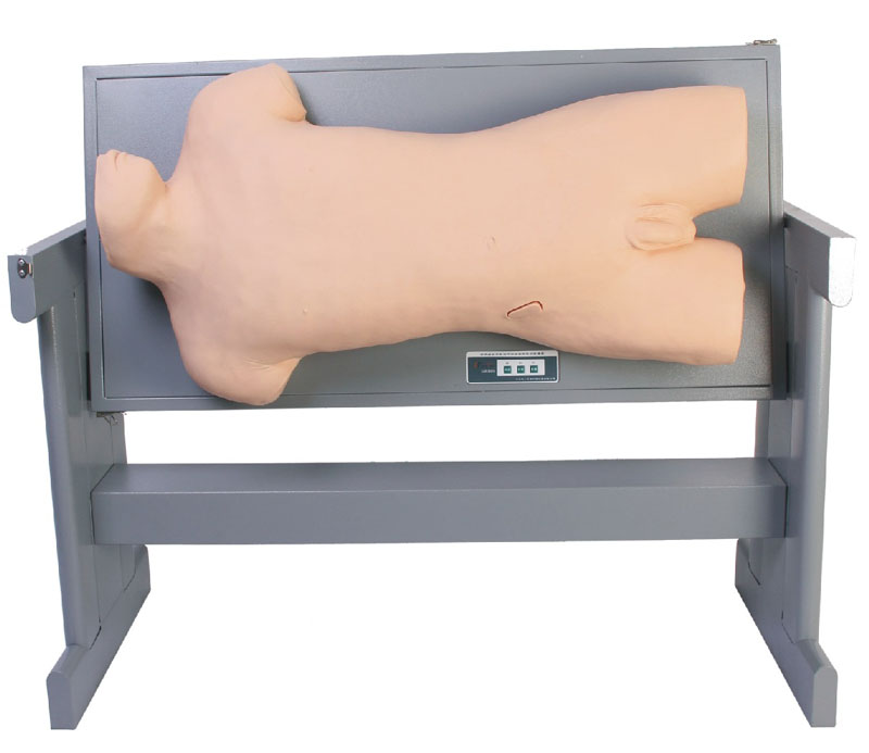 腹部移动性浊音叩诊与腹腔穿刺训练模型(有桌)