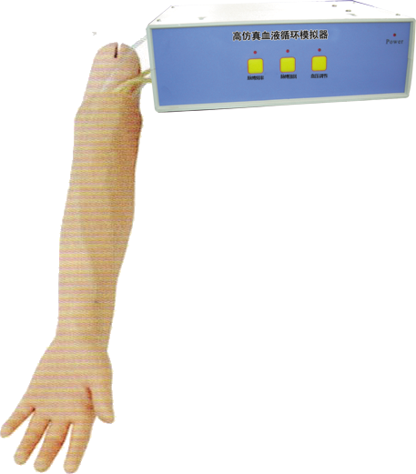 成人动脉穿刺操作模型