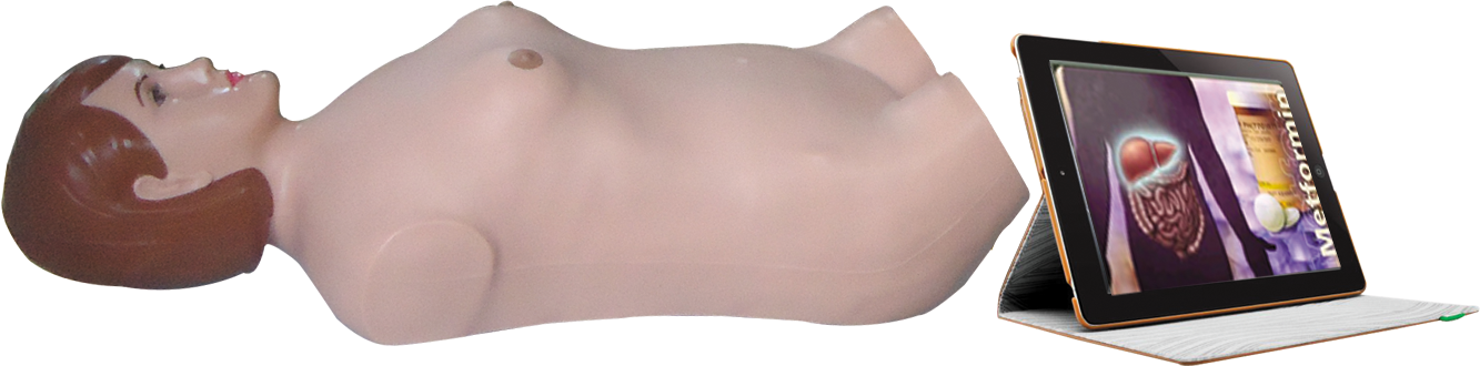 大屏幕腹部触诊听诊模拟人