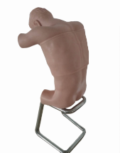 电动胸腔穿刺标准化病人（坐姿）