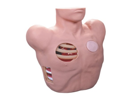 成人胸腔穿刺训练模拟病人