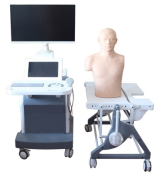 心脏超声诊断虚拟教学系统